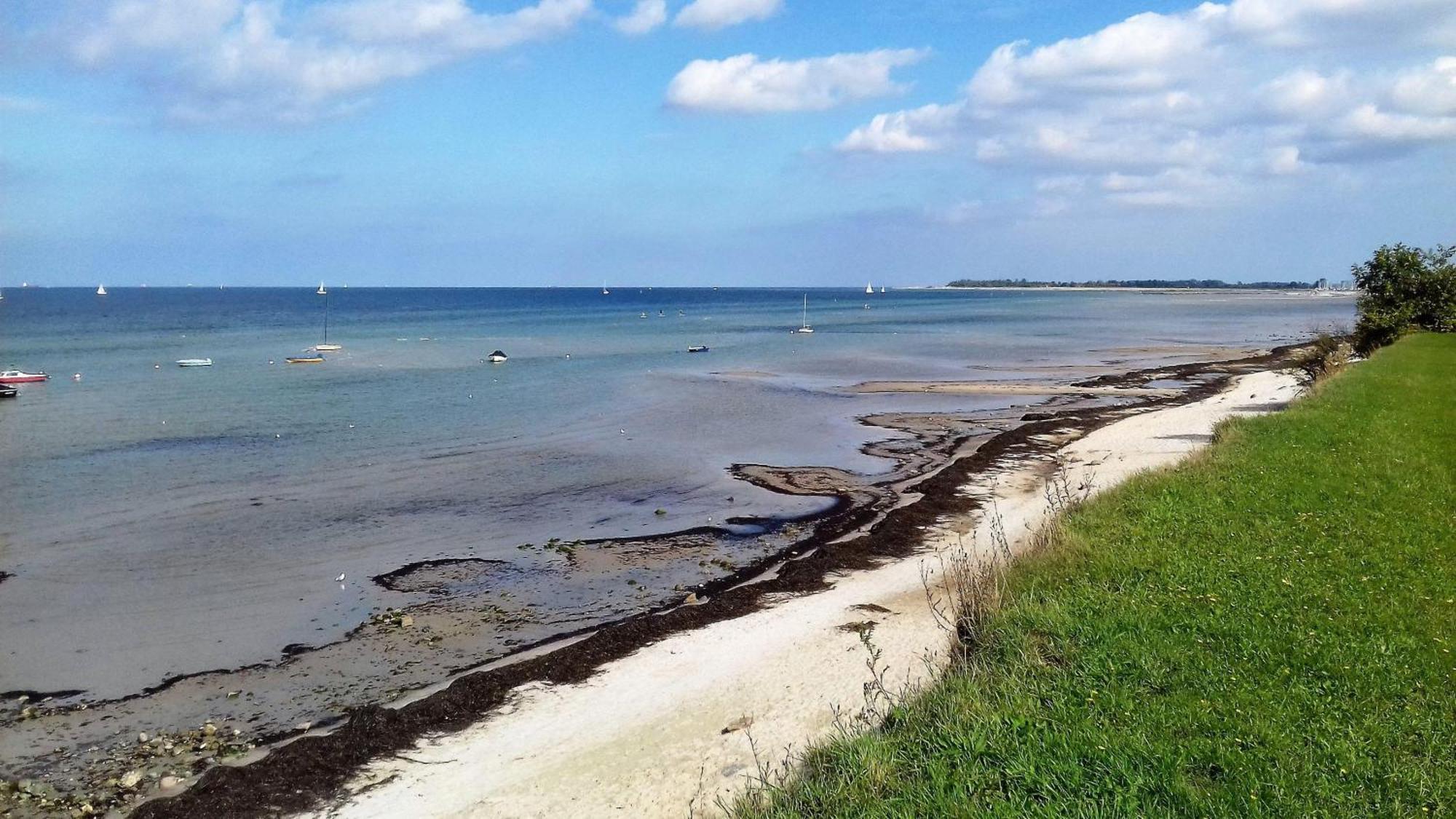 Ferienwohnung-Ostseestrand-In-Stein-Bei-Laboe Stein  Dış mekan fotoğraf